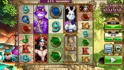 white rabbit thumb